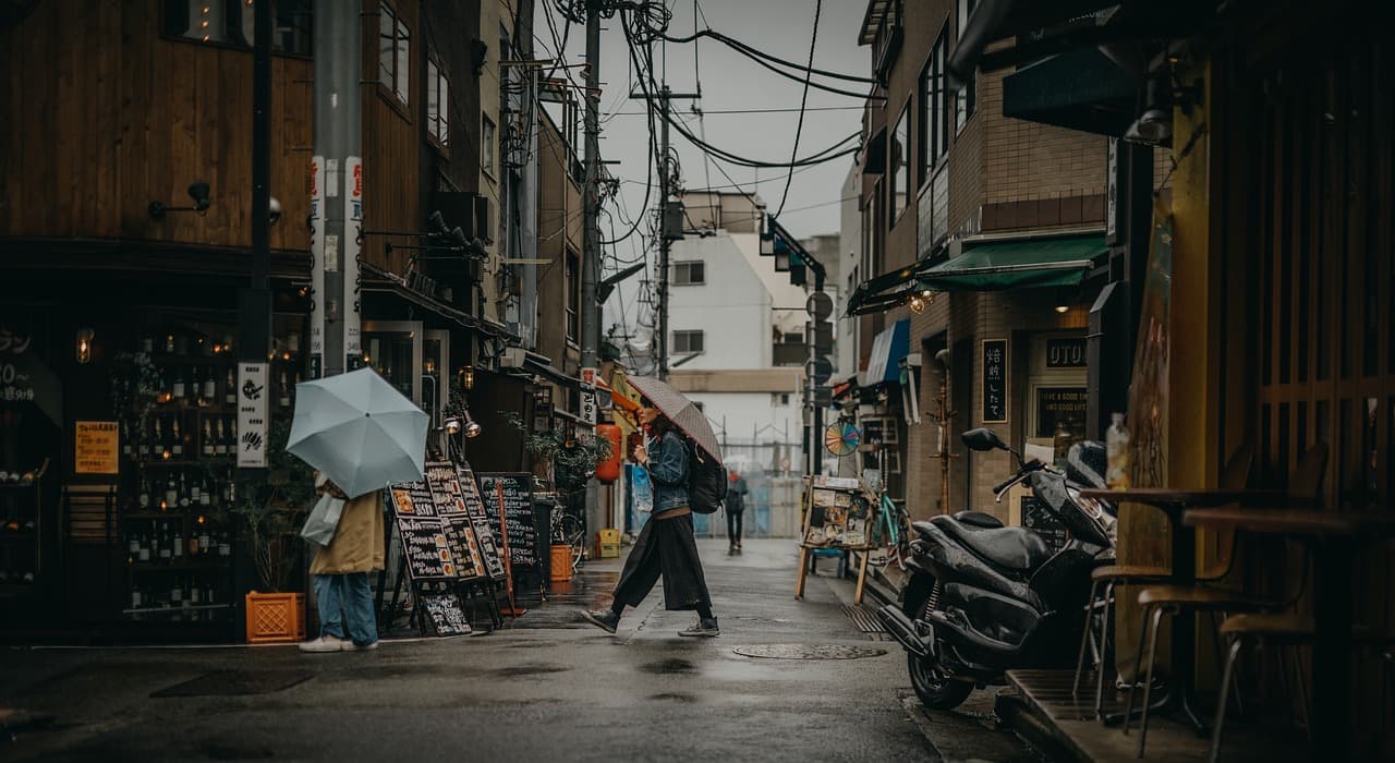 Vacanță la Tokyo, Japonia